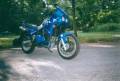 Tiger 900. Cot face